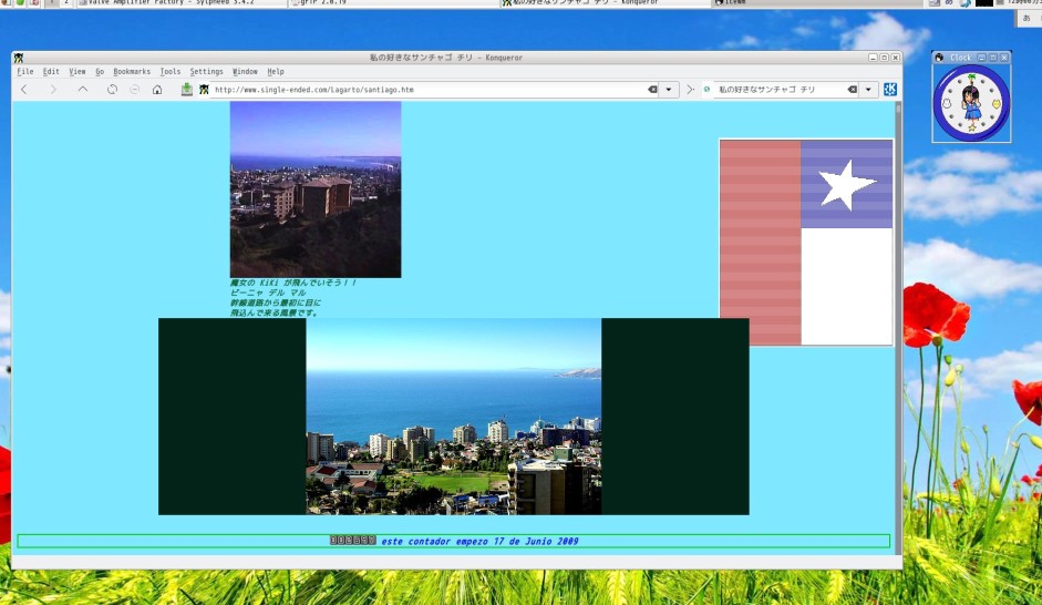 konqueror FC22 Linux