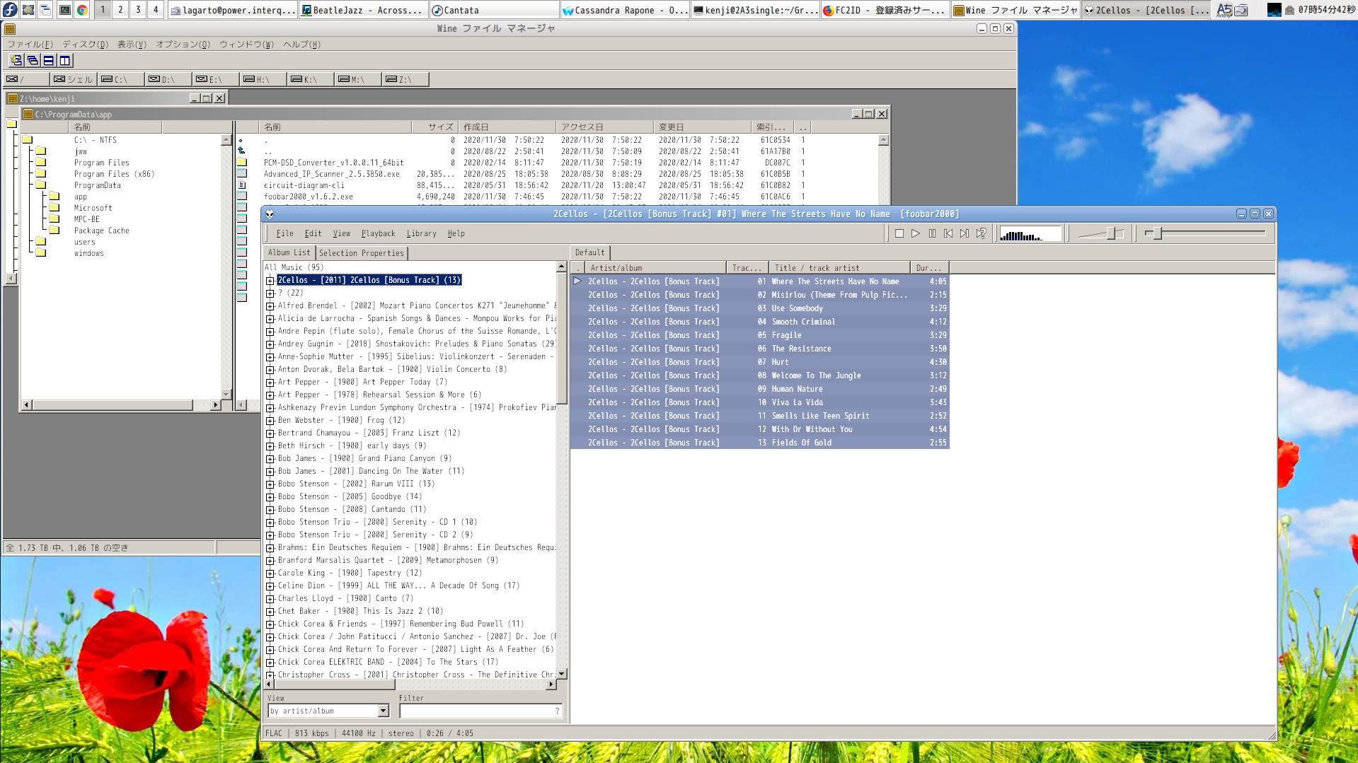 foobar2000 windows by Linux