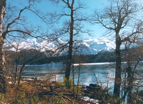 minami no chile 2002 