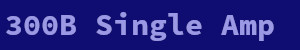 300B