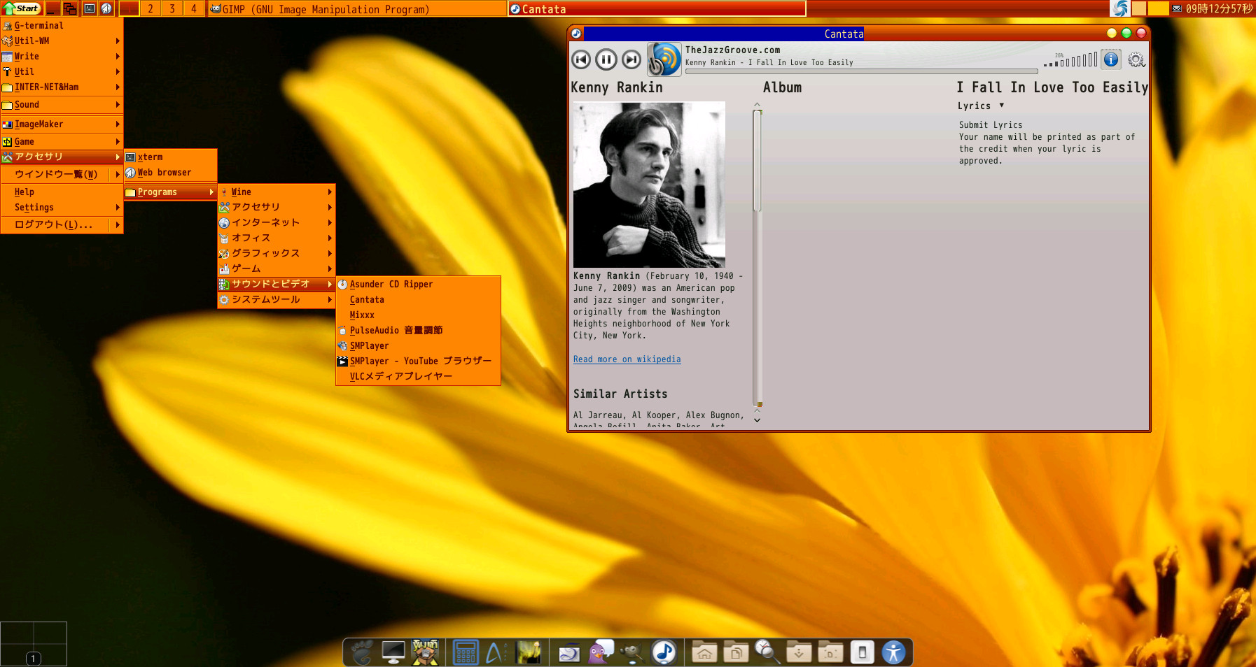 ICEWM Raspberry Pi2 2015 May