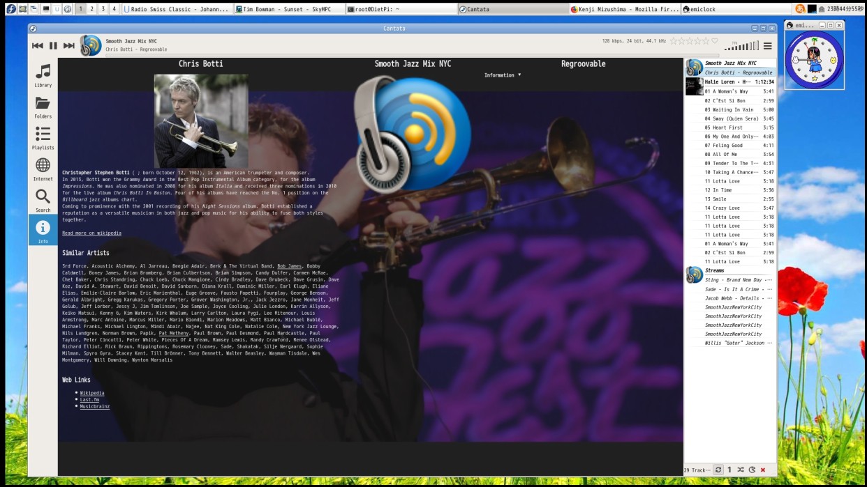 cantata with Dietpi by Nanopi-Neo2 