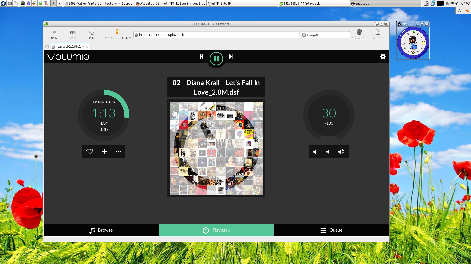 Raspberry pi 2 with USB DAC