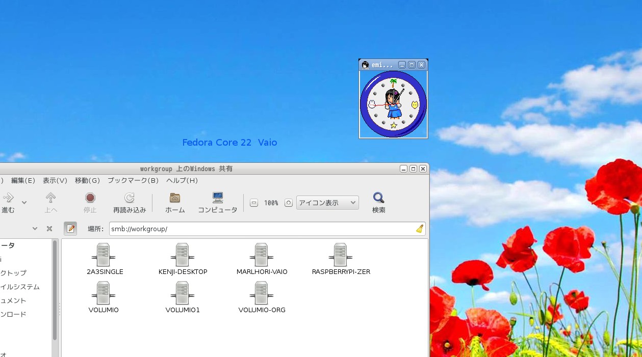 at home LAN and Wifi