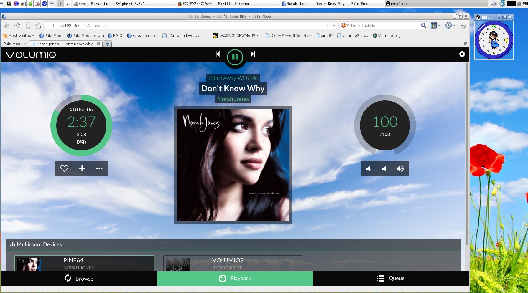 pine64 play of file of Nanopi
