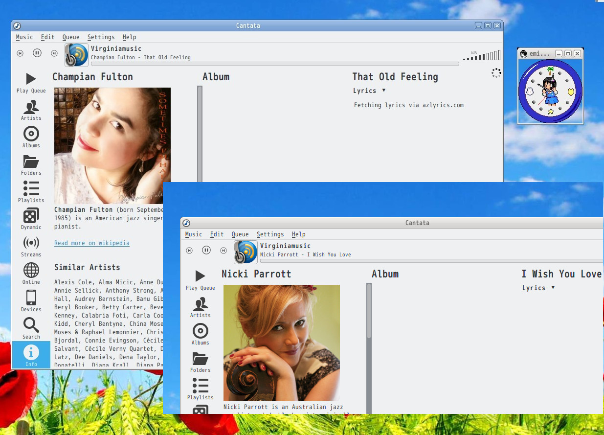 Internet radio virginia radio by NanoPi Neo2